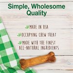 Nylabone Healthy Edibles Puppy Turkey & Sweet Potato X-Small / Petite 16 Count