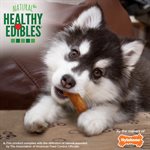 Nylabone Healthy Edibles Puppy Turkey & Sweet Potato 8 Count Pouch Regular