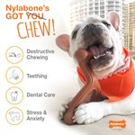 Nylabone Flavor Frenzy Texture Bone Philly Cheesesteak Wolf