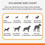 Nylabone Os Durable Substitut aux Animaux Moelle Boeuf Grand