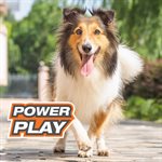 Nylabone Jouet Power Play Balle Fetch-A-Bounce 5"