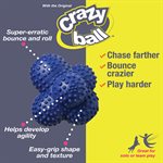 Nylabone Jouet Power Play Balle Rebondissante Crazy Ball Grande