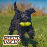 Nylabone Power Play Tennis Teddy Gripz Bear Medium