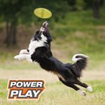 Nylabone « Power Play » Disque Glissant à Saisir Grand