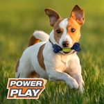 Nylabone « Power Play Tennis » Jouet à Rapporter Interactif