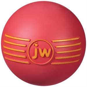 JW Pet Isqueak Ball Medium