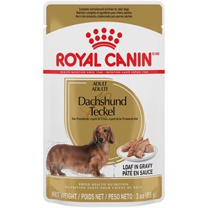 Royal Canin Breed Health Nutrition Dachshund Loaf in Gravy Dog 12 / 3oz