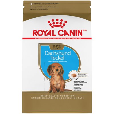Royal Canin Nutrition Santé de Race Teckel Chiot pour Chiens 2.5LBS