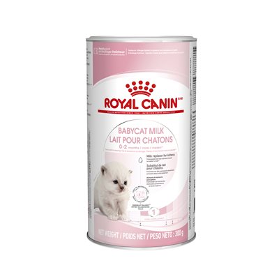 Royal Canin Feline Health Nutrition Babycat Milk Replacer for Kittens 300g