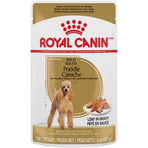 Royal Canin Breed Health Nutrition Poodle Loaf in Gravy Dog 12 / 3oz