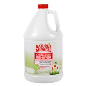 NM Stain / Odor Remover (Meadow) Gallon