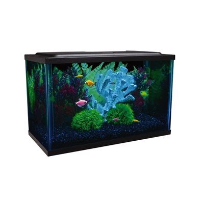 Spectrum GloFish Glass Aquarium Kit 5 Gallons