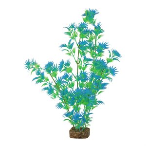 Spectrum Plante « GloFish » Très-Grande Vert Bleu