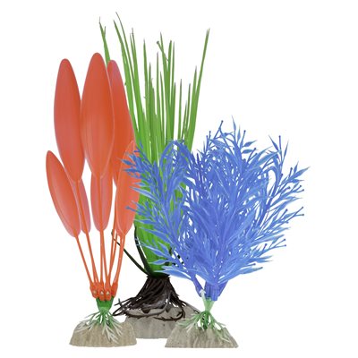Spectrum Brands Plantes « GloFish » Emballage Varié Bleu Rouge Vert 3 MCX