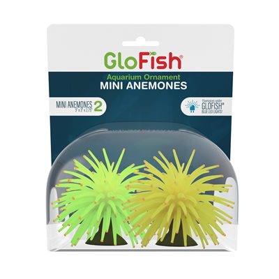 Spectrum Brands Amémones « GloFish » Mini Jaune Verte 2 MCX
