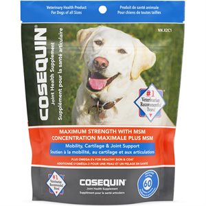 Nutramax Cosequin® Plus MSM & Omega-3's Joint Supplement for Dogs 60 Count Soft Chews
