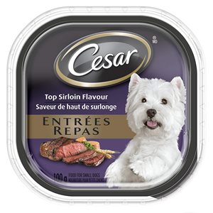 Cesar Adult Dog Entrées Top Sirloin Flavor 24 / 100g