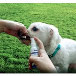 Bluestem Oral Care Spray for Dogs Vanilla Mint Flavor 60ml