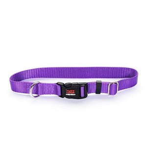 Reflex Collar 1"x25" Violet